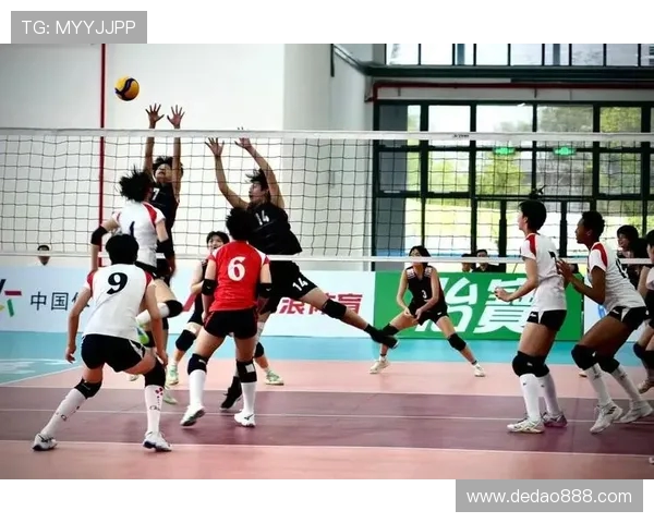 上海排球队战术实力强劲荣登全国排球战术排行榜第七位