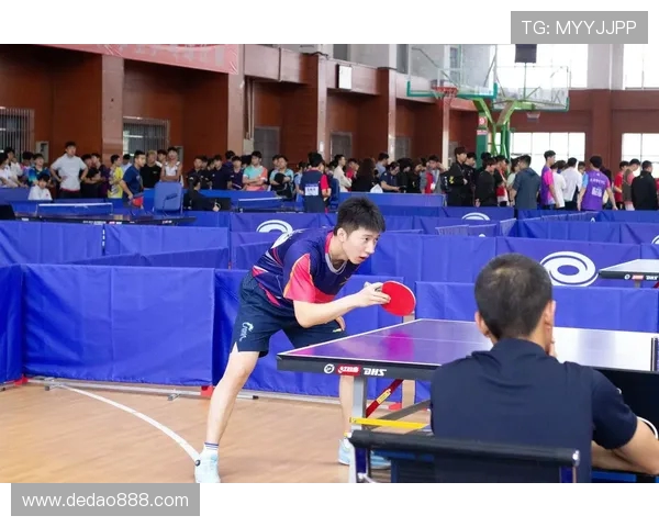乒乓球比赛经验排行榜揭晓上海乒乓球队荣登第七位引发关注