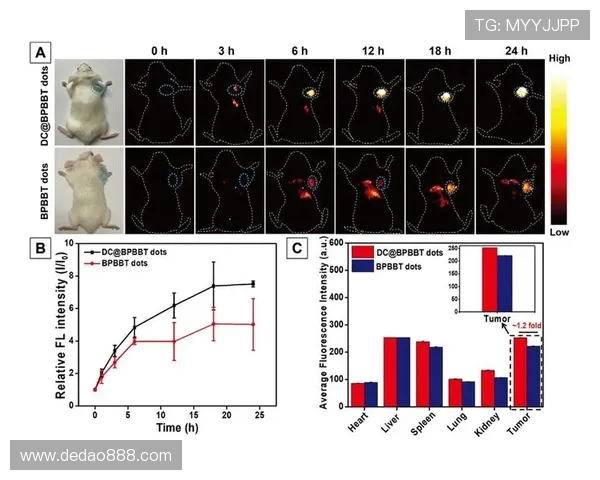 提升团队协作效率数据分析IG团队表现的深度探讨与启示 提升团队协作效率数据分析IG团队表现的深度探讨与启示