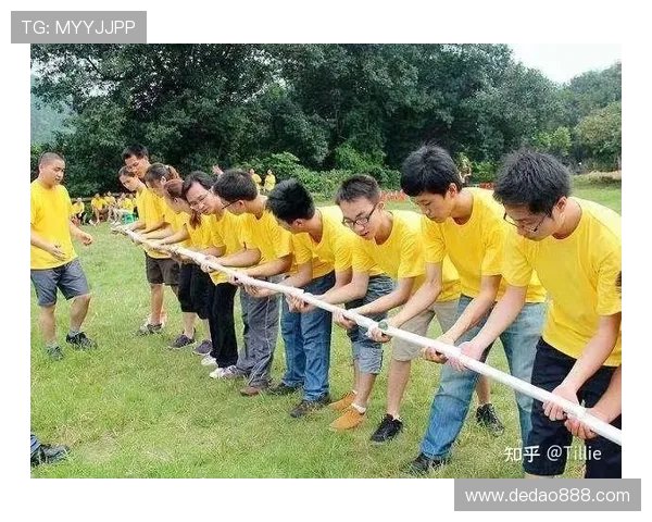 杭州排球队团队协作的成功之道与挑战分析 杭州排球队团队协作的成功之道与挑战分析