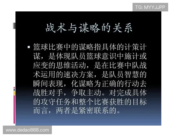 杭州篮球队战术解析与对手策略全面对比深度剖析 杭州篮球队战术解析与对手策略全面对比深度剖析