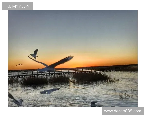 滑板人生的深度对话:刘丽与梦想的追逐与坚持 滑板人生的深度对话:刘丽与梦想的追逐与坚持