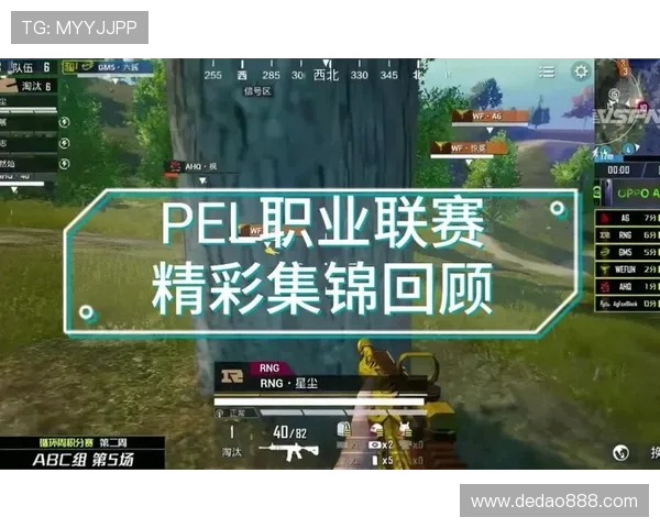 聚焦和平精英赛事RNG战队的比赛经验与成长之路探讨