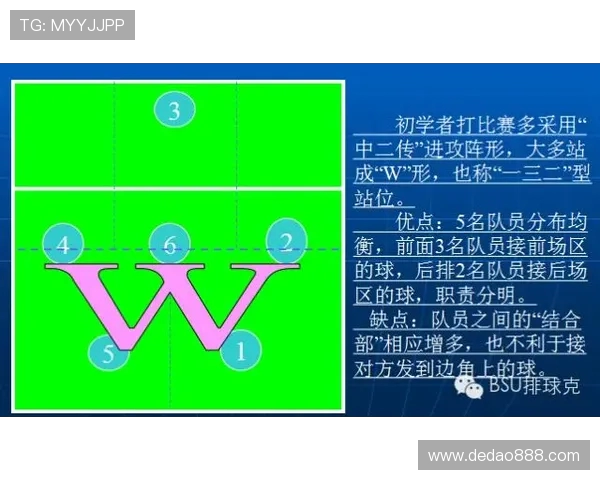 西安排球队快攻战术解析与排球热点深度剖析