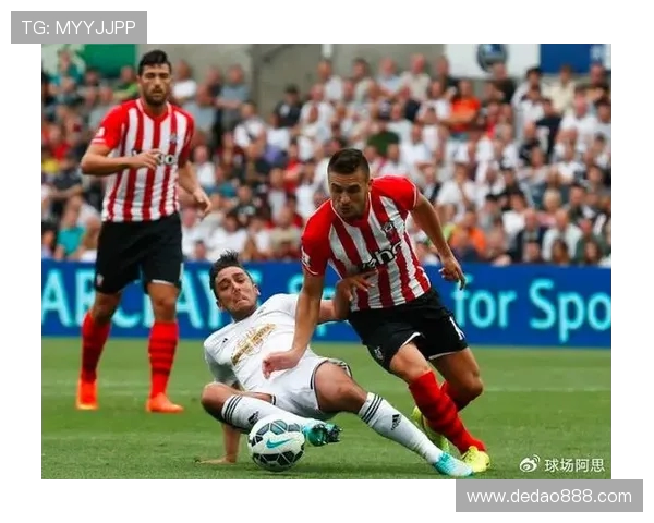 热刺与布莱顿全场对决精彩回顾与战术分析