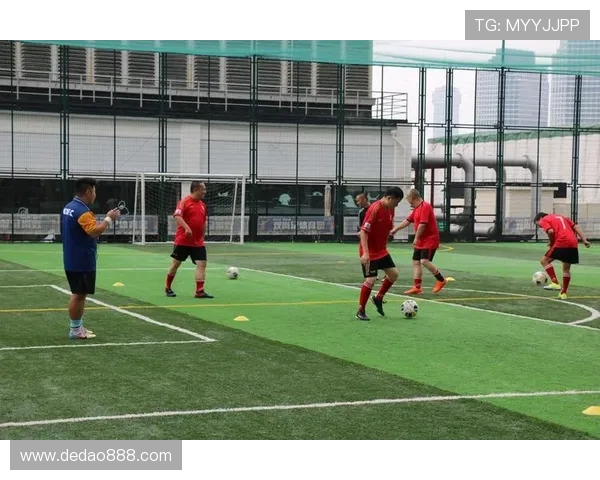 上海极限运动队比赛经验分析与表现点评分享