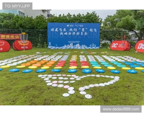 上海飞盘队的创新转型之路探索与展望 上海飞盘队的创新转型之路探索与展望