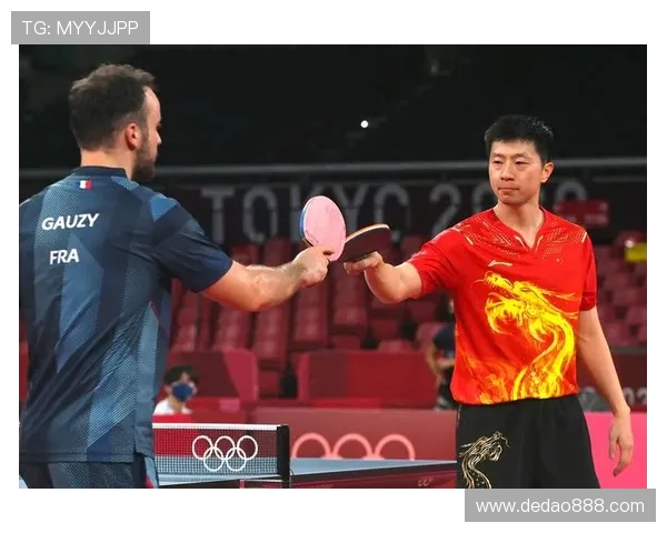 南京乒乓球队速度领跑全国最新乒乓球速度TOP10榜单揭晓