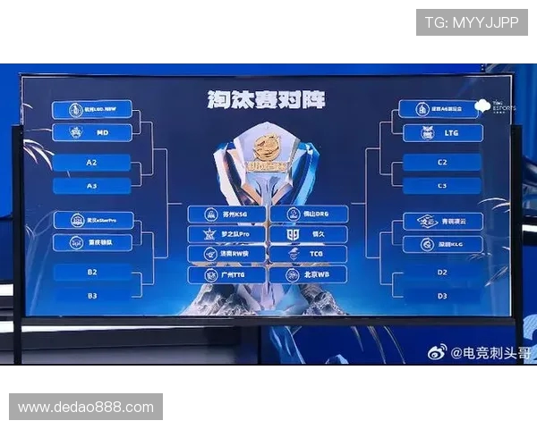 对话杨丽：深入探讨她在王者荣耀中的成长与挑战经历