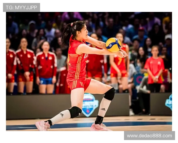 杭州排球队荣登全国排球配合排行榜第二名展现强大实力