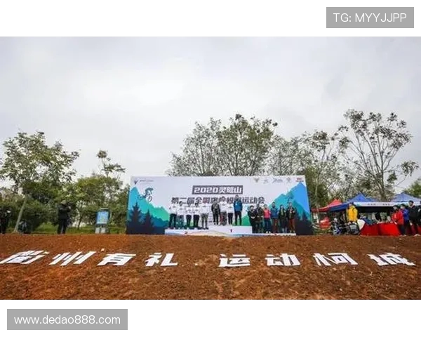 深圳极限运动队速度对比深度解析与各队表现亮点分析